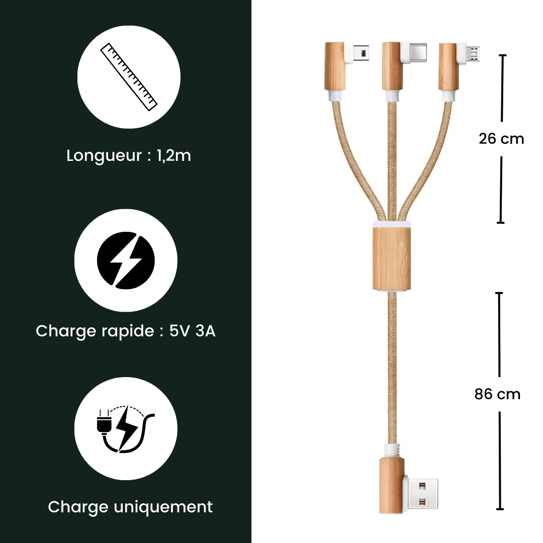 Câble de charge 3 en 1