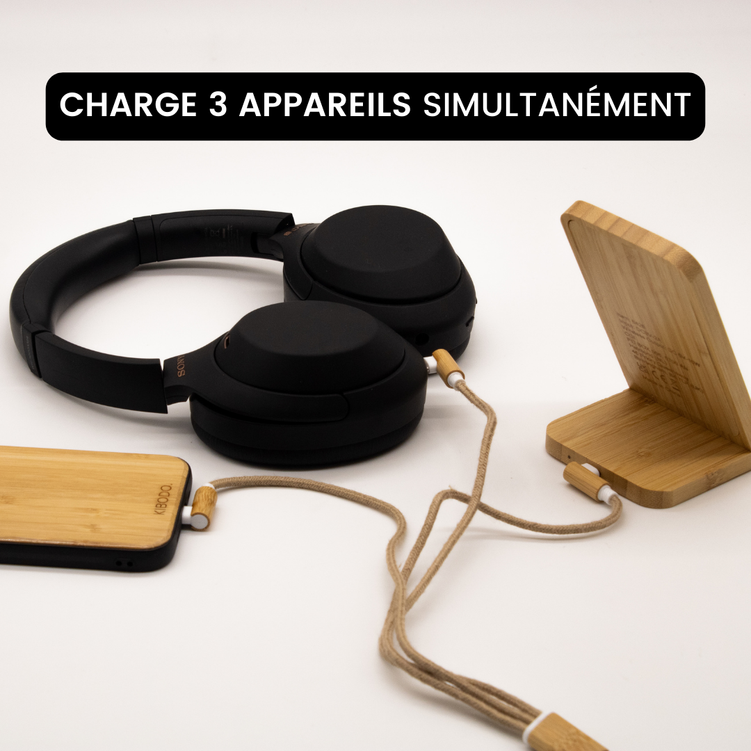 Câble de charge 3 en 1